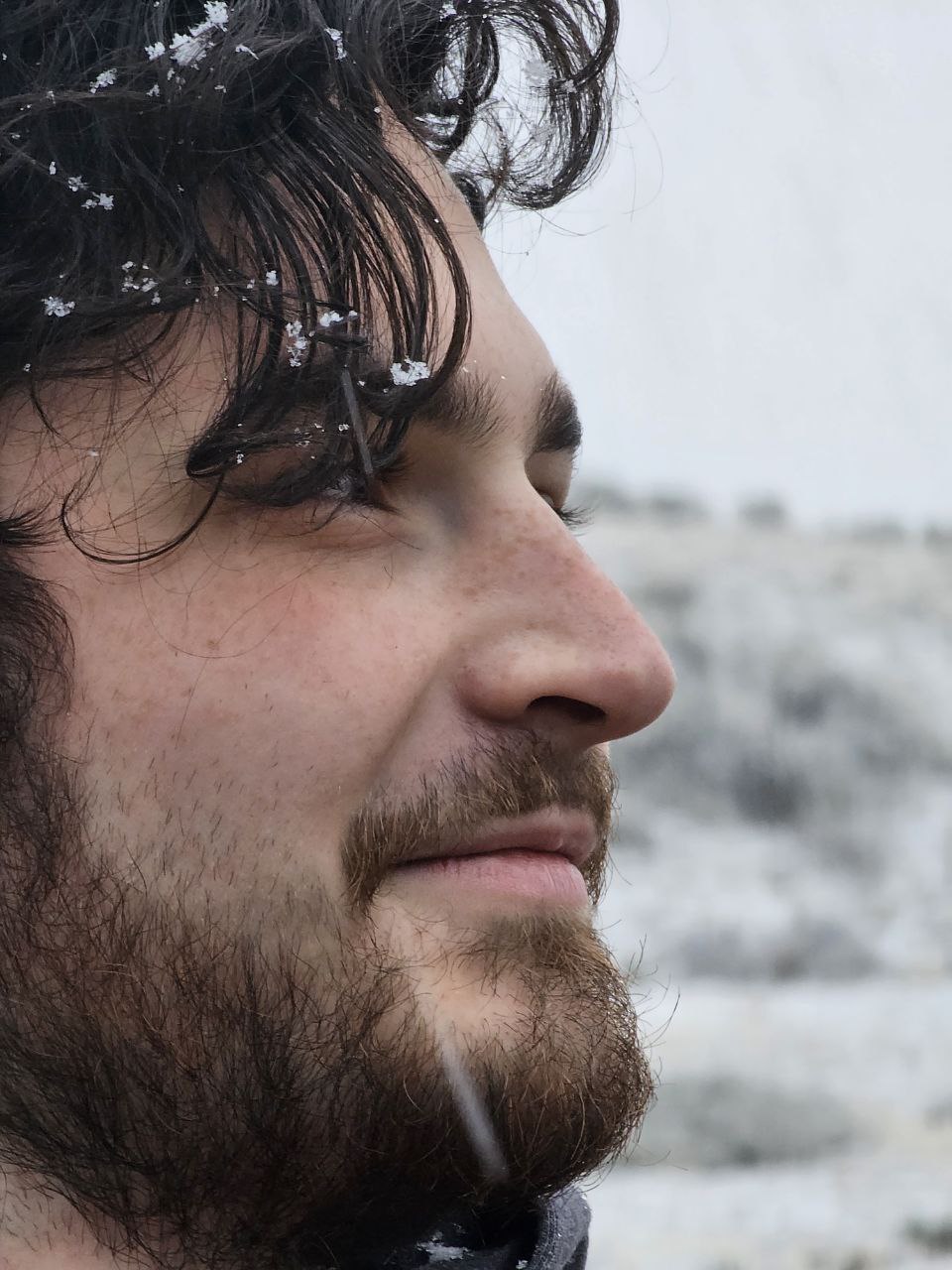 Banner 2